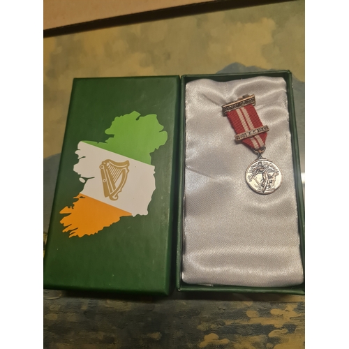 010I - Boxed irish medal