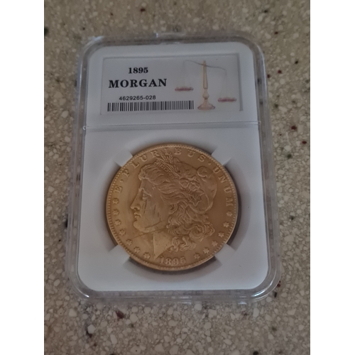 13E - Us morgan dollar cased 

Copy