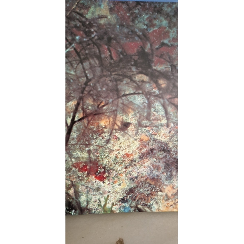 19 - Coral gardens.  Leni Riefensthal. 1st Edition 1978 with slipcase. Very good condition