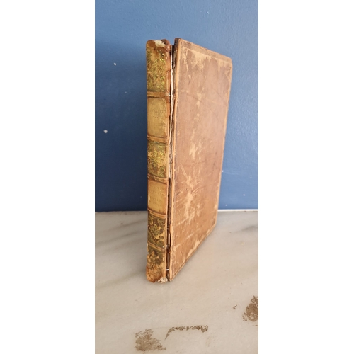 Lot 21        