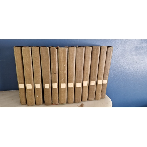 Lot 24        