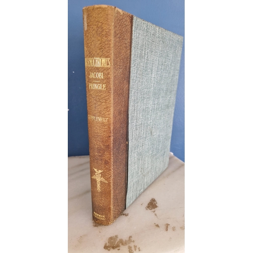Lot 42        