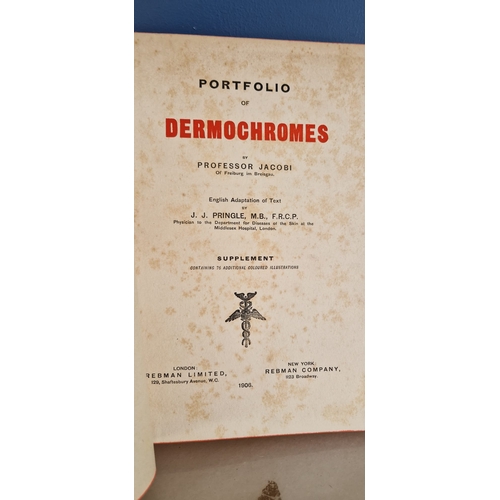 42 - Dermochromes jacobi pringle