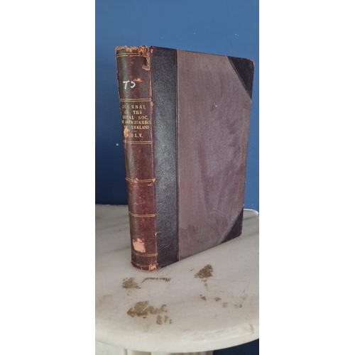 Lot 54        