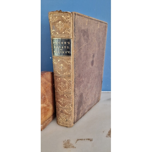Lot 55        