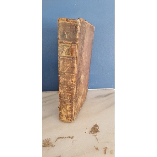 Lot 56        