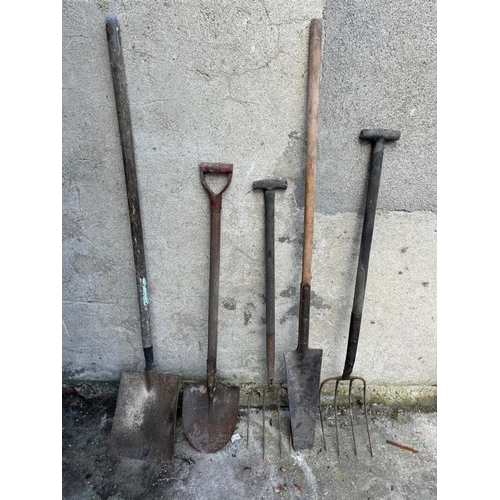 455 - Two shovels, two pitchforks and a spade. {Tallest 157 cm}