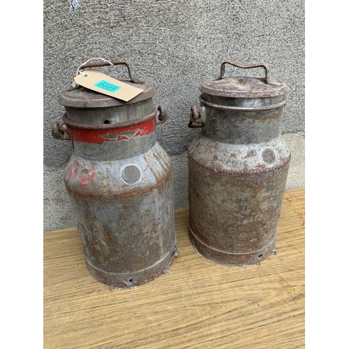 225 - Two milk cans with carrying handles. {H 44 cm}