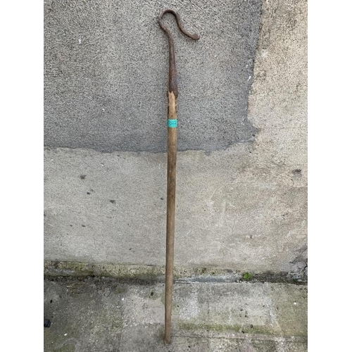 264 - Bull hook. {H 150 cm}