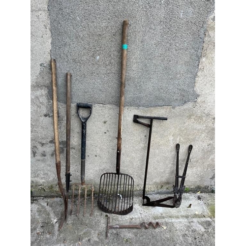 515 - Two grass hooks, two hedge clippers and an American scythe etc.