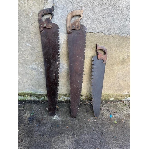 555 - Three antique saws.