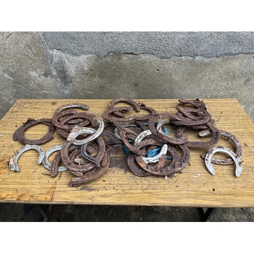 608 - Large collection of horse shoes.