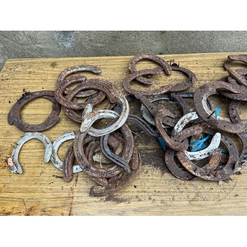 608 - Large collection of horse shoes.