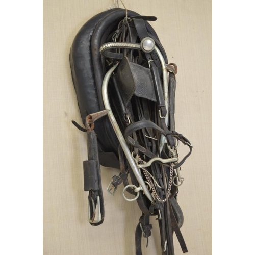 612 - Set of Driving Harness