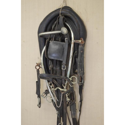 612 - Set of Driving Harness