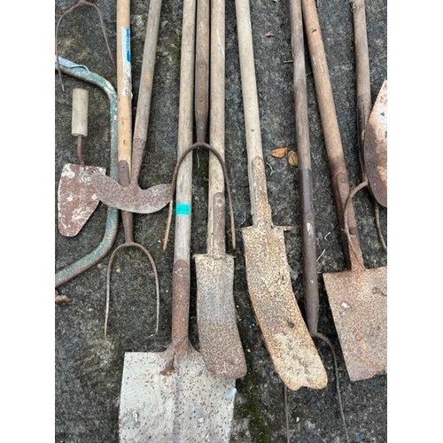 648 - Collection of sleans, shovels, rakes, axe head etc