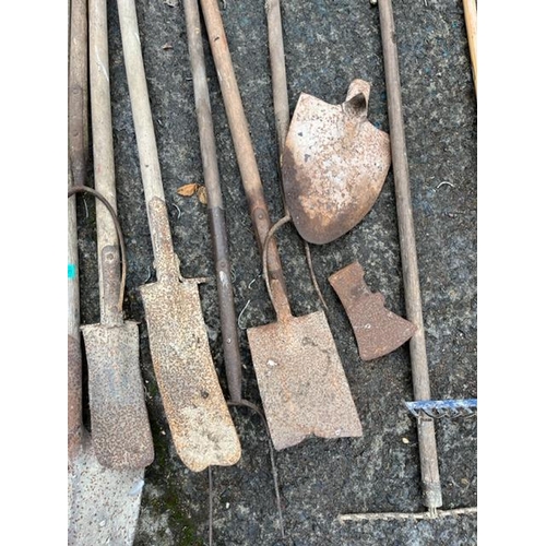 648 - Collection of sleans, shovels, rakes, axe head etc