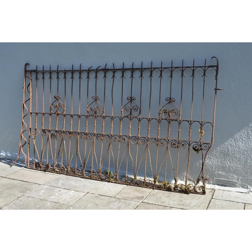 806 - 19th Century Iron Gate