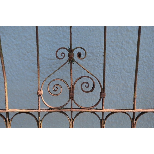 806 - 19th Century Iron Gate