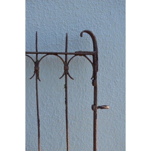 806 - 19th Century Iron Gate