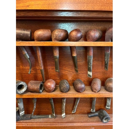 925q - Mahogany pipe rack containing a fine collection of pipes. {Rack 50 cm W x 51 cm H}