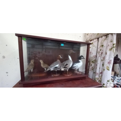 Lot 24        
