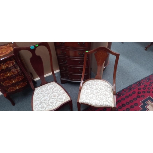 Lot 55        