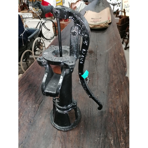 888 - Cast Iron Garden Pump with Cowtail Handle (55cm Tall)