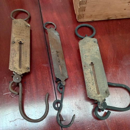 609 - 3 Brass and Iron Salters Spring Balance Scales