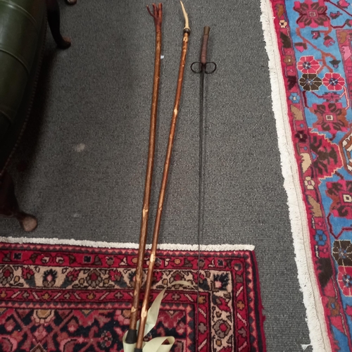 642 - Two Walking Sticks and a Fencing Foil