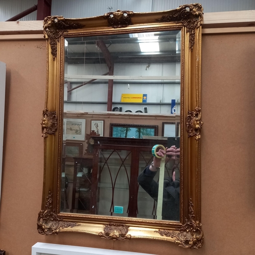 109 - Rectangular Gilt Framed Mirror