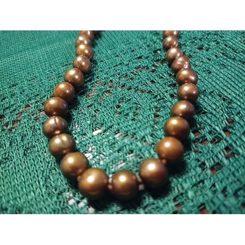 308 - Chocolate Coloured Cultured Pearls with a Silver Clasp