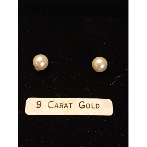 316 - Pair of 9 Carat Pearl Earrings