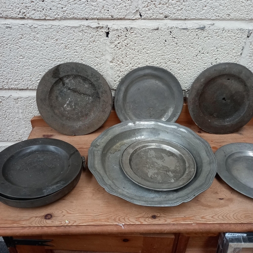 120 - Collection of Pewter Plates etc (12)