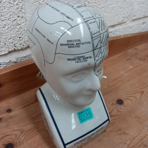 135 - Ceramic Phrenology Head (30cm Tall)