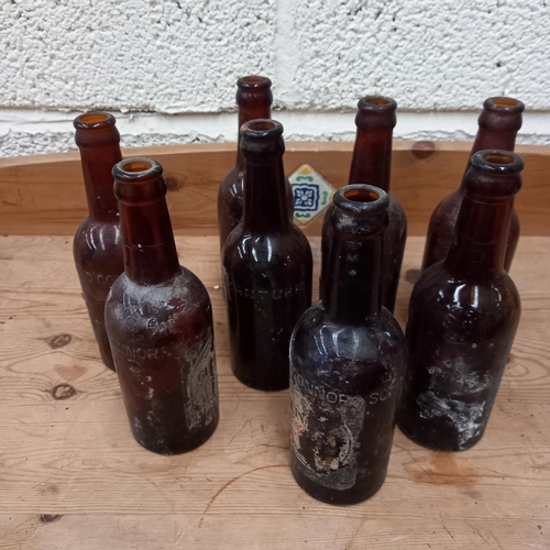 60 - 8 old Guinness Bottles 