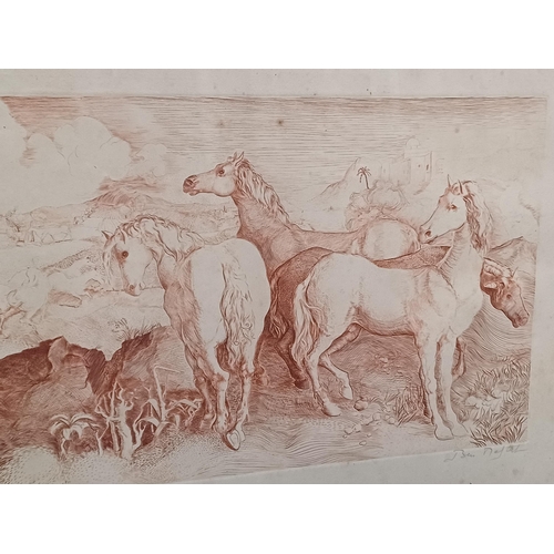 1039 - Interesting Etching of Horses Signed in Pencil