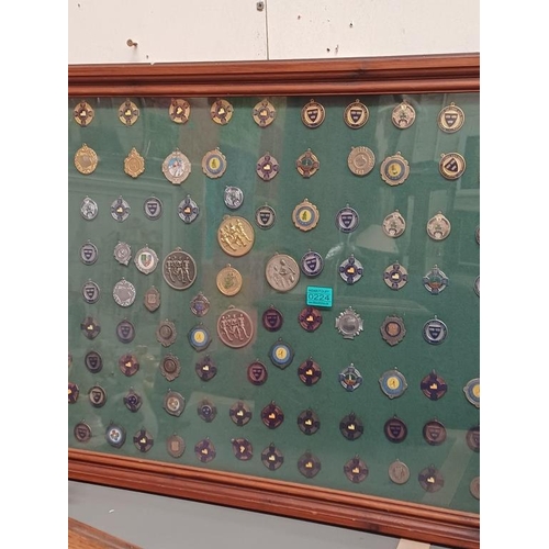 224 - Framed Collection of Athletics Medals