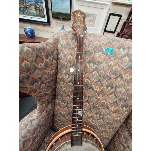 265 - Banjo