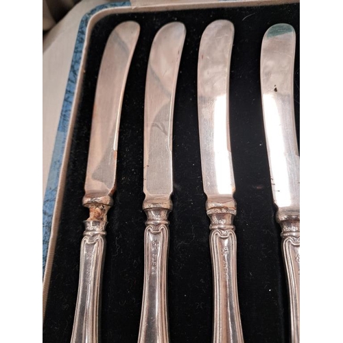 397 - Cased Set of 9 Sheffield Silver Handled Butter Knives