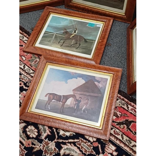 87 - Set of 6 Burr Walnut Framed Horse Racing Prints