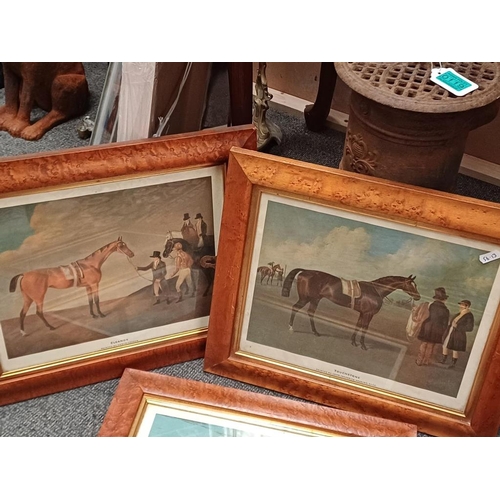 87 - Set of 6 Burr Walnut Framed Horse Racing Prints