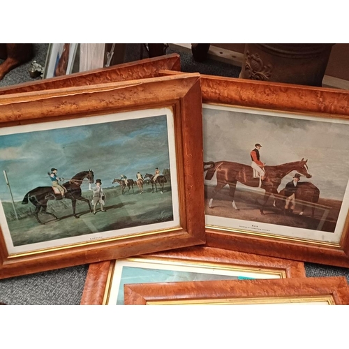 87 - Set of 6 Burr Walnut Framed Horse Racing Prints