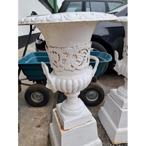 494 - Pair of Cast iron Garden Urns on Stands (84cm Tall Overall)