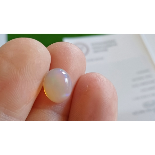 563 - Natural Opal Cabochon (2.43 carats) with IGI Certificate