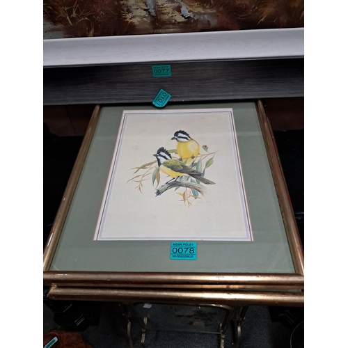 78 - Set of 3 Framed Bird Prints - good frames