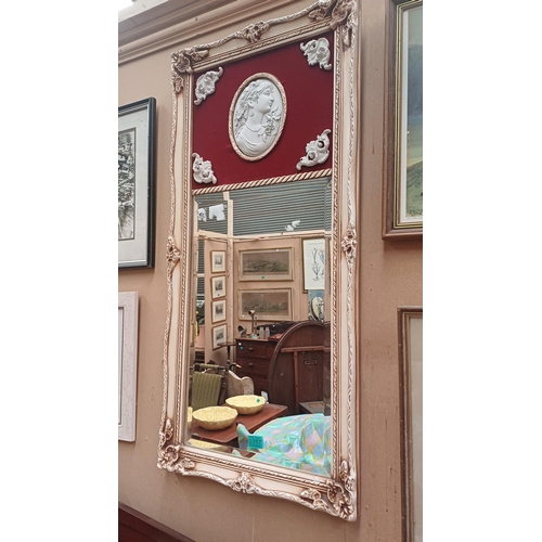 357 - Pair of Decorative French Style Pier Mirrors