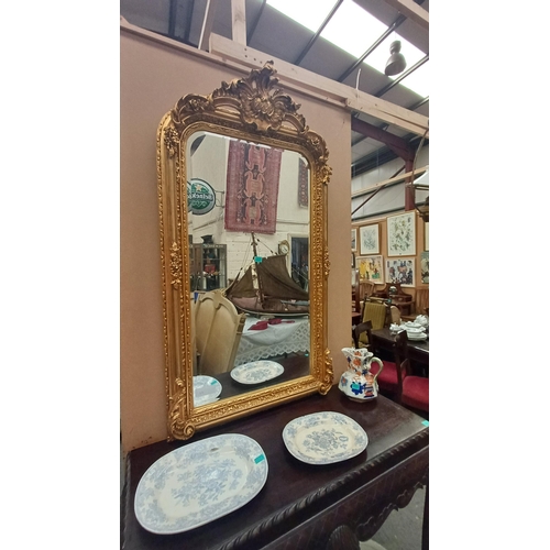 505 - Decorative Gilt Pier Mirror (86cm x 156cm)