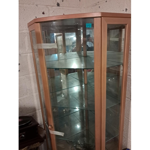 406 - Good Maple and Glass Corner Display Cabinet with Lights (195cm Tall)