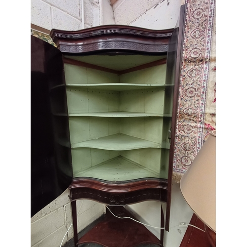 169 - Early 20th Century Mahogany Corner Cabinet of Serpentine Form on Open Stand